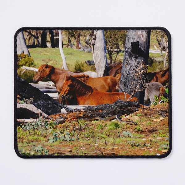 Item preview, Alpine Brumbies designed and sold by D-GaP.