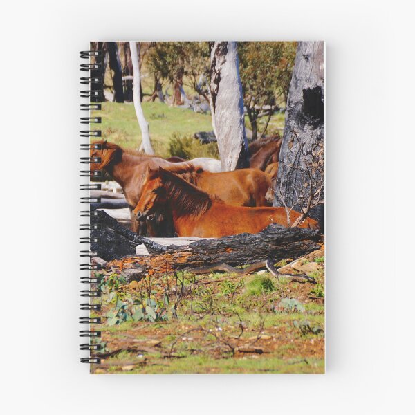 Item preview, Alpine Brumbies designed and sold by D-GaP.