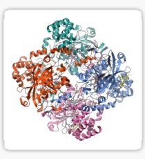 catalase protein Sticker