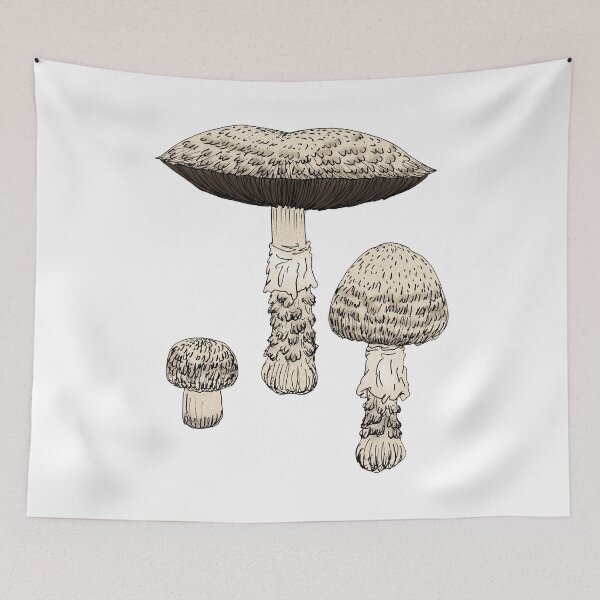 Item preview, The Prince designed and sold by Stanton.