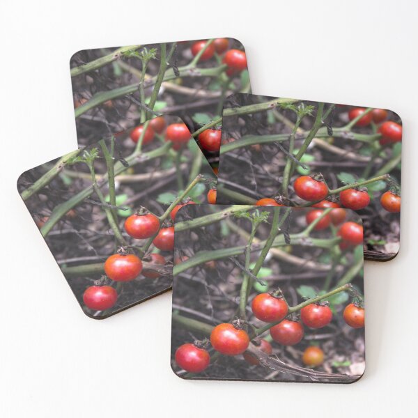Item preview, cherry tomato 3. designed and sold by Nino rocha fotografia.