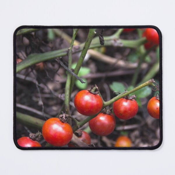 Item preview, cherry tomato 3. designed and sold by Nino rocha fotografia.