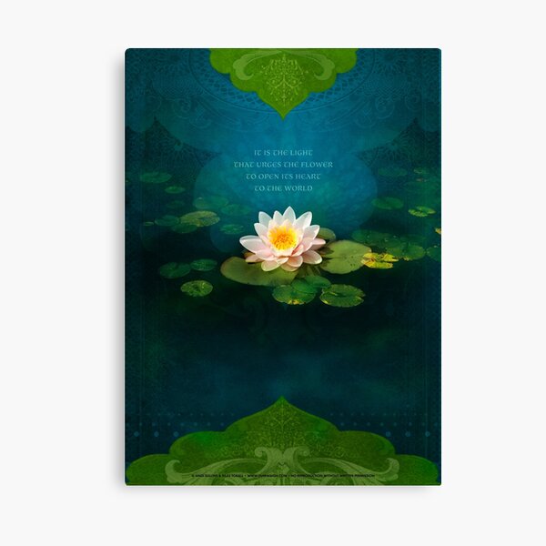 Bouquet of Light Canvas Print