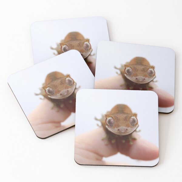 Item preview, Gecko con cresta bebé designed and sold by Mooncake-Geckos.