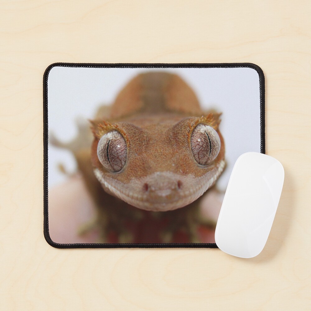 Baby crested gecko | Mouse Pad