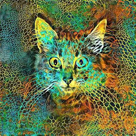 Deep Style abstraction cat