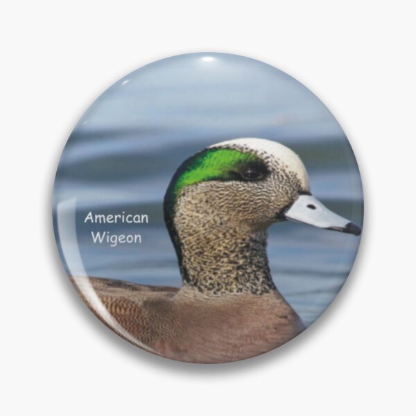Item preview, Wolfe Island Aves América Silbón europeo designed and sold by qlajt.