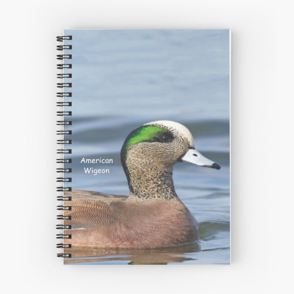 Item preview, Wolfe Island Birds America Wigeon designed and sold by qlajt.