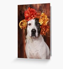 Pit Bull with flower crown Greeting Card