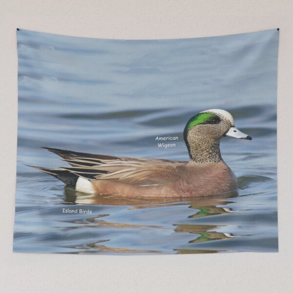 Item preview, Wolfe Island Birds America Wigeon designed and sold by qlajt.