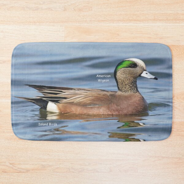 Item preview, Wolfe Island Birds America Wigeon designed and sold by qlajt.