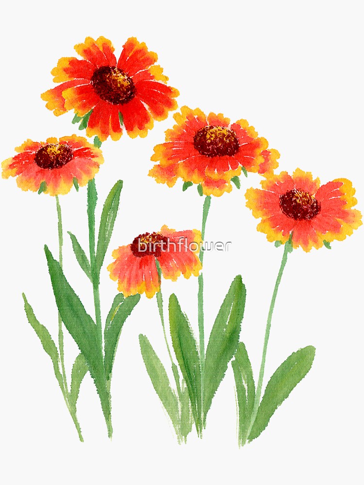 "May 19th birth flower" Sticker by birthflower Redbubble
