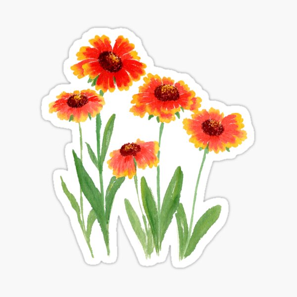 "May 19th birth flower" Sticker by birthflower Redbubble