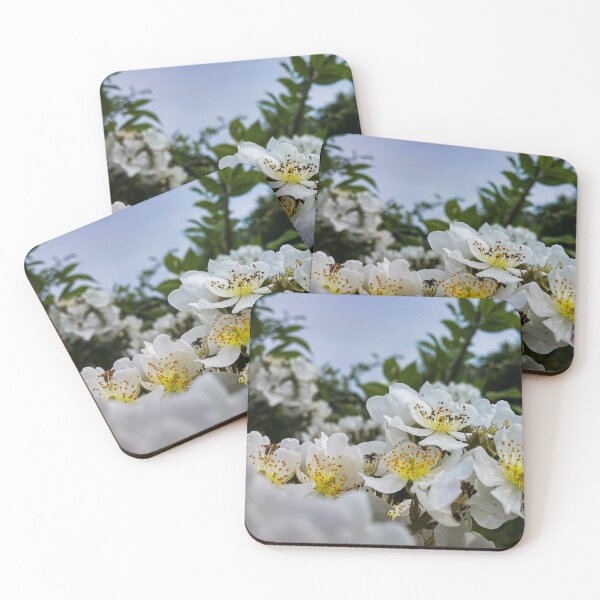 Item preview, H0206 Multiflora Rose designed and sold by photographyemd.