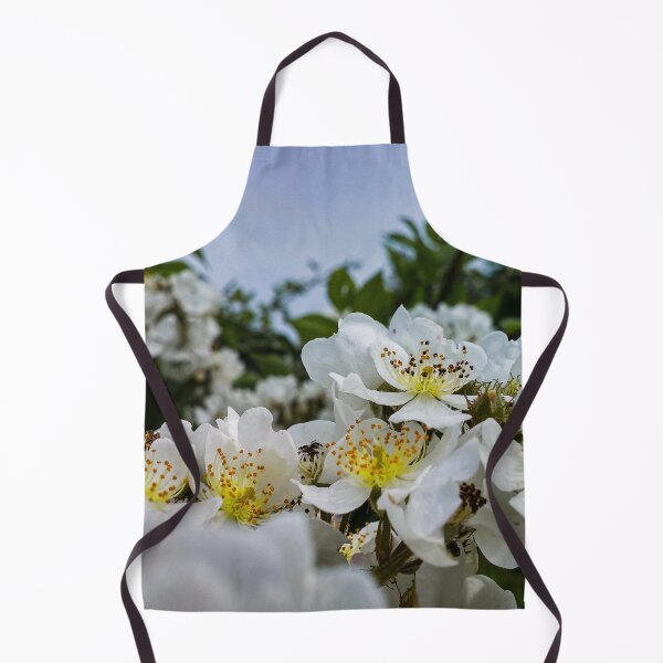 Item preview, H0206 Multiflora Rose designed and sold by photographyemd.