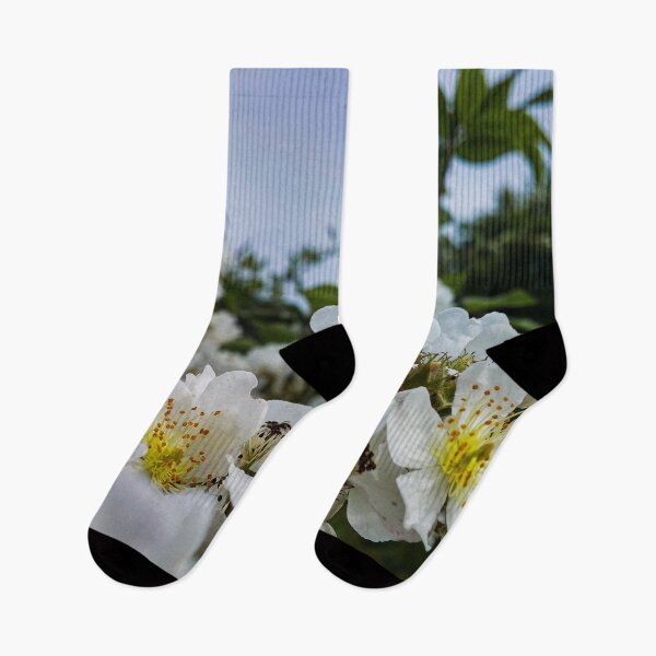 Item preview, H0206 Multiflora Rose designed and sold by photographyemd.