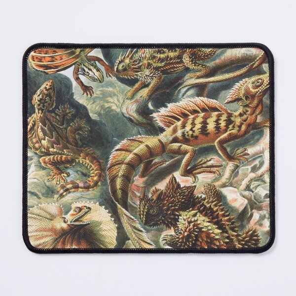 Item preview, Lizard Art Print Ernst Haeckel designed and sold by karwilberevivalcollection.