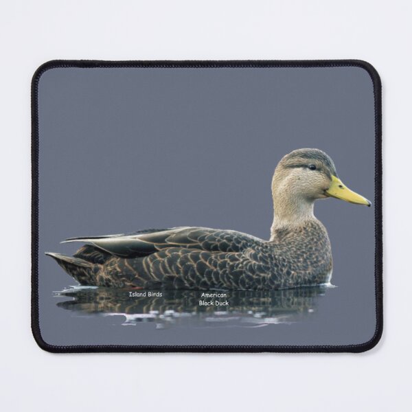 Item preview, Wolfe Island Birds American Black Duck designed and sold by qlajt.