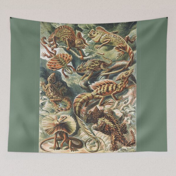 Item preview, Lizard Art Print Ernst Haeckel designed and sold by karwilberevivalcollection.