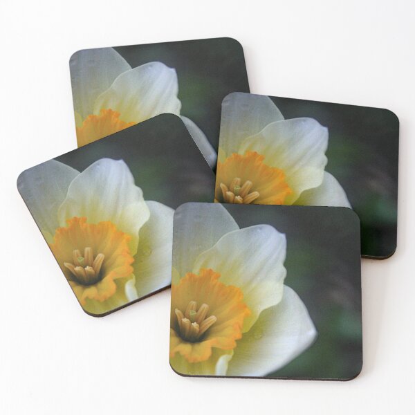 Item preview, H0091 Wild Daffodil designed and sold by photographyemd.
