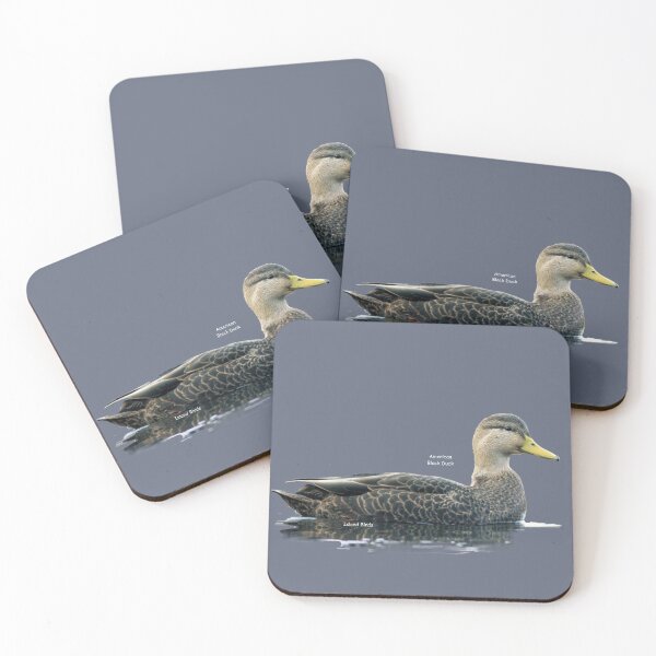 Item preview, Wolfe Island Birds American Black Duck designed and sold by qlajt.