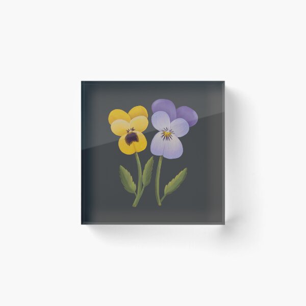 Item preview, February Birth Flower Reach Pansies by Heather Nafe Art designed and sold by HeatherNafeArt.