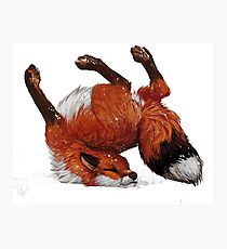 Fox Tumbles Photographic Print
