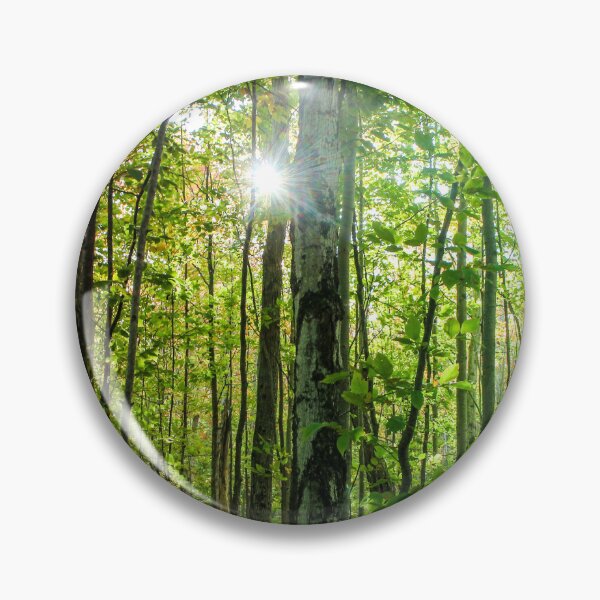 Item preview, H02011 Forest designed and sold by photographyemd.