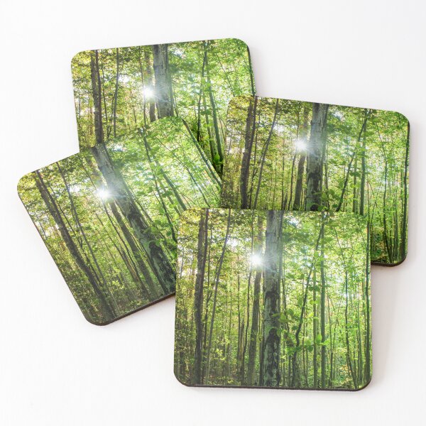 Item preview, H02011 Forest designed and sold by photographyemd.