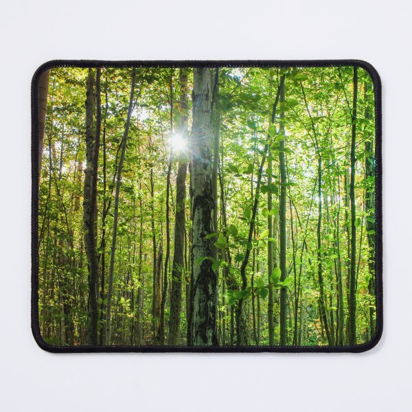 Item preview, H02011 Forest designed and sold by photographyemd.
