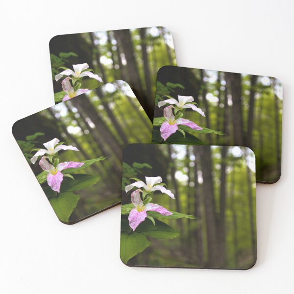 Item preview, H0214 Trilliums designed and sold by photographyemd.