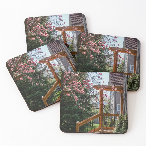 Item preview, V0030 Spring Entrance designed and sold by photographyemd.