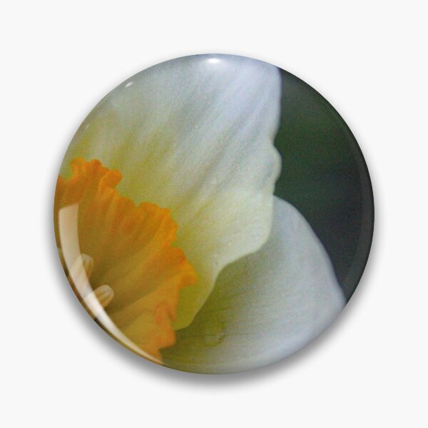 Artikelvorschau, H0091 Wild Daffodil entworfen und verkauft von photographyemd.