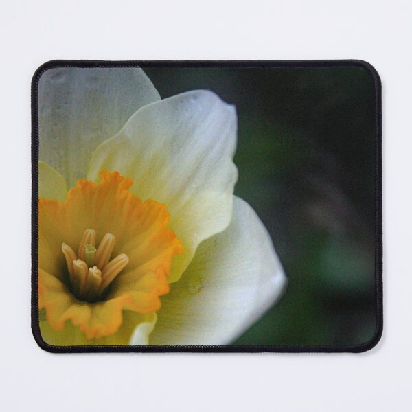 Item preview, H0091 Wild Daffodil designed and sold by photographyemd.