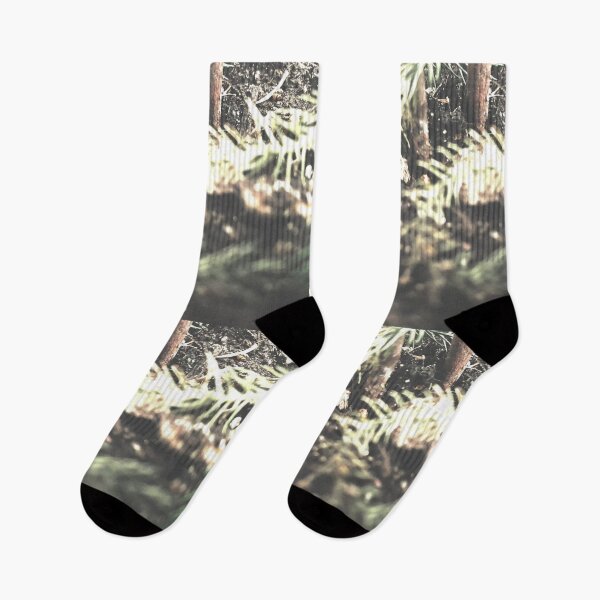 Item preview, Norfolk Pine (Lighting Variant) designed and sold by TmartUS.