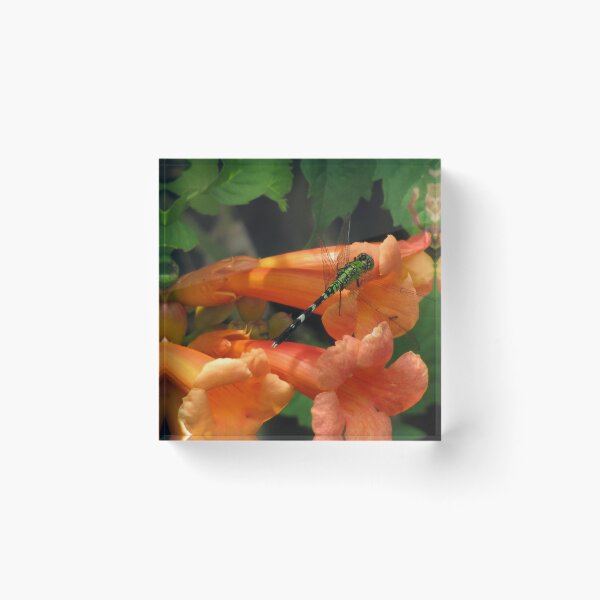 Item preview, Cherish the Moment designed and sold by Jan Landers.