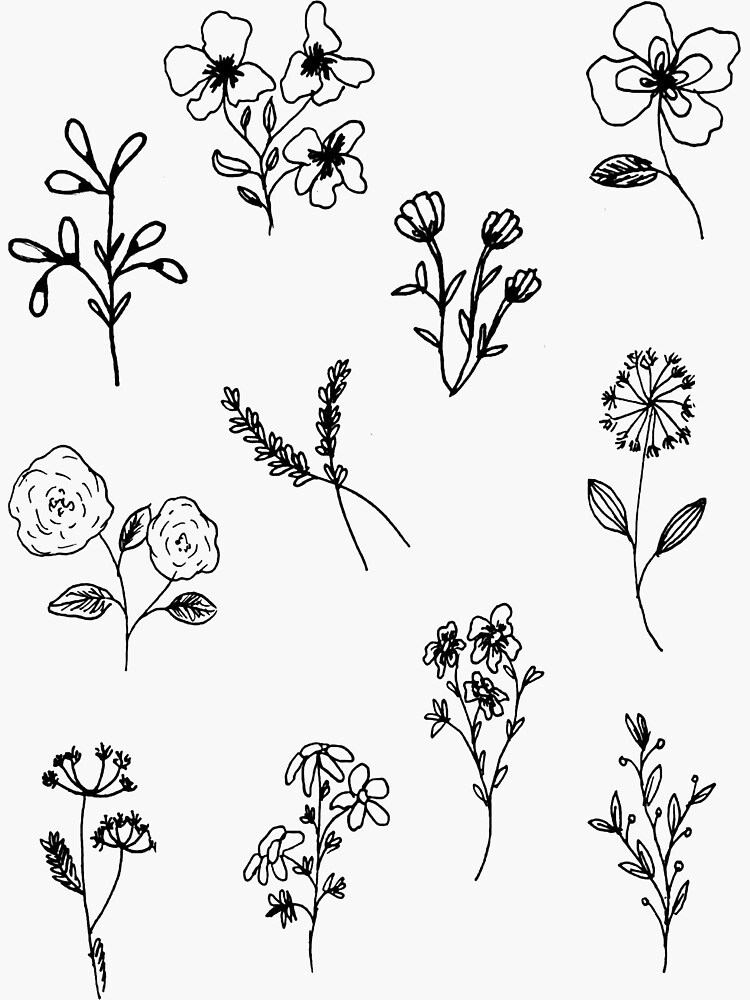 Hand drawn wild flower. Outline plant painting by ink pen. Sketch or doodle  style botanical vector illustration. Black isolated on white background  Stock Vector | Adobe Stock
