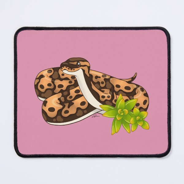 Item preview, Normal Ball Python and Succulents designed and sold by anacecilia.