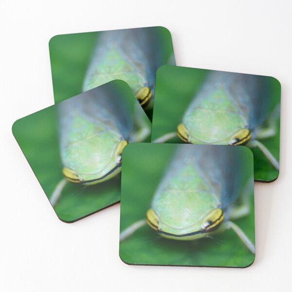 Item preview, Unique and organic photo of a Cicadellidae Leafhopper designed and sold by AvonPerception.