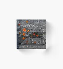 Nasturtiums In The Breeze - Selective Color Acrylic Block