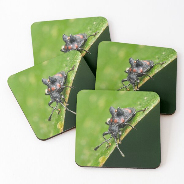 Item preview, Unique and organic photo of a fungus beetle with a mite on its back designed and sold by AvonPerception.