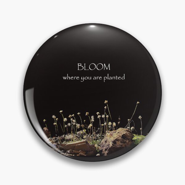 Item preview, Bloom where you are planted/plants growing on rocks designed and sold by VeenaNair23.