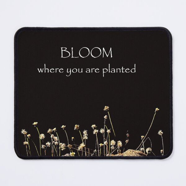 Item preview, Bloom where you are planted/plants growing on rocks designed and sold by VeenaNair23.