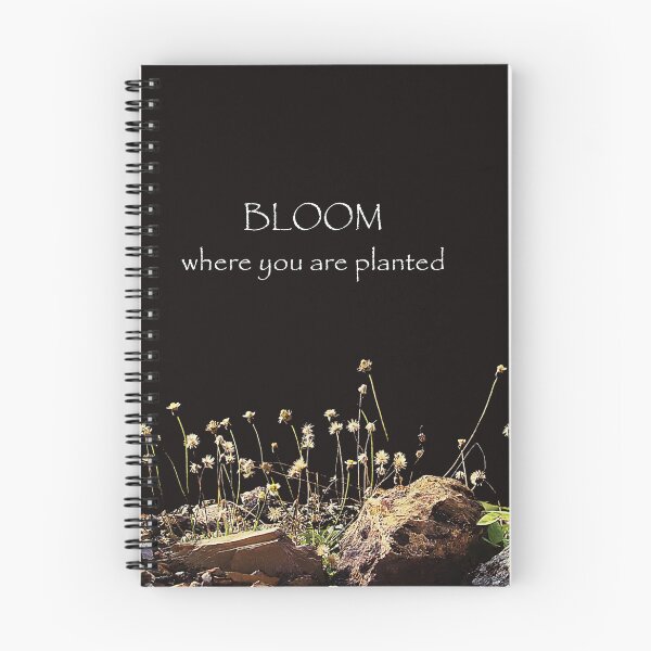 Item preview, Bloom where you are planted/plants growing on rocks designed and sold by VeenaNair23.