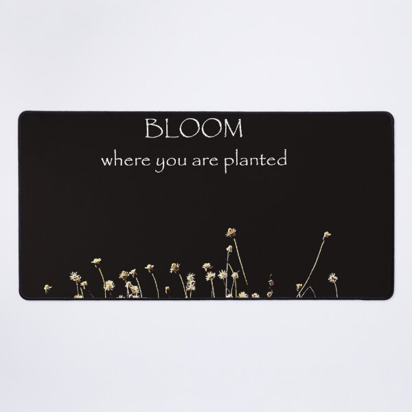 Item preview, Bloom where you are planted/plants growing on rocks designed and sold by VeenaNair23.