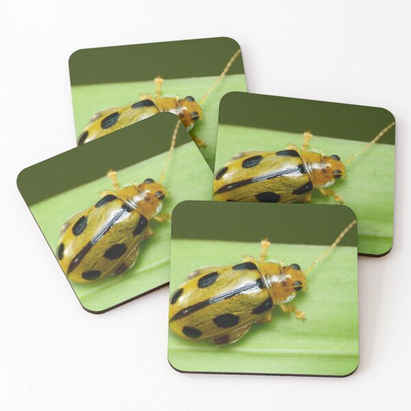 Item preview, Unique and organic photo of a Yellow flea beetle  designed and sold by AvonPerception.