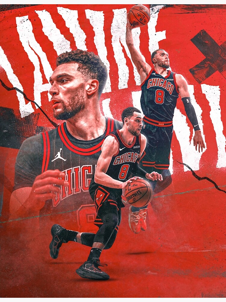 MasonArts Zach LaVine 20inch x 14inch Silk Poster Dunk and Shot Wallpaper  Wall Decor Silk Prints for Home and Store  Amazonca Tools  Home  Improvement