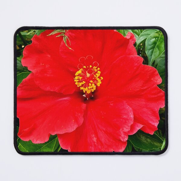 Item preview, RED FLOWER designed and sold by Steffi August.