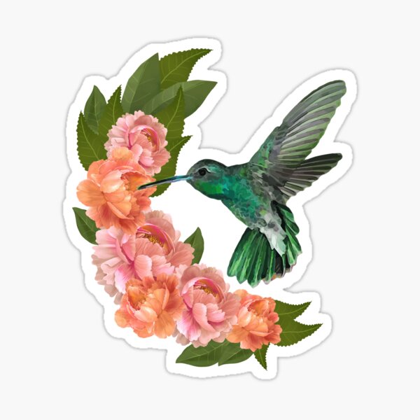 Floral Hummingbirds Humming Bird Lover Watcher' Sticker