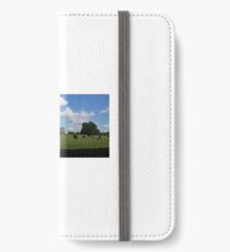 Down home iPhone Wallet/Case/Skin